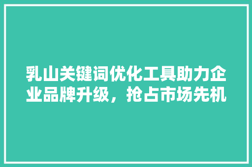 乳山关键词优化工具助力企业品牌升级，抢占市场先机