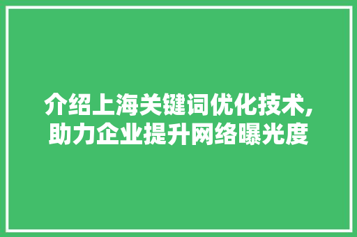 介绍上海关键词优化技术,助力企业提升网络曝光度