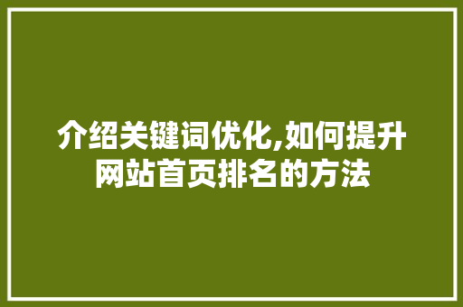 介绍关键词优化,如何提升网站首页排名的方法