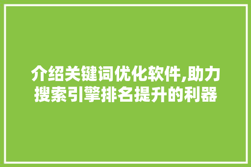 介绍关键词优化软件,助力搜索引擎排名提升的利器