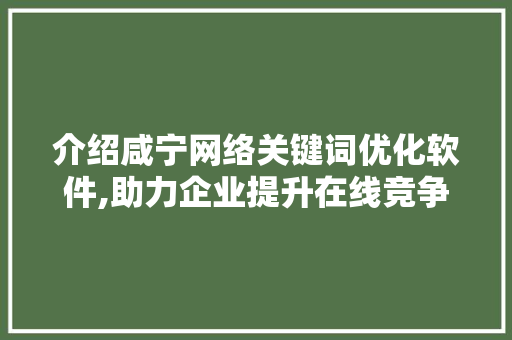 介绍咸宁网络关键词优化软件,助力企业提升在线竞争力