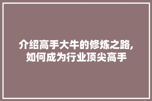 介绍高手大牛的修炼之路,如何成为行业顶尖高手