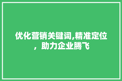 优化营销关键词,精准定位，助力企业腾飞