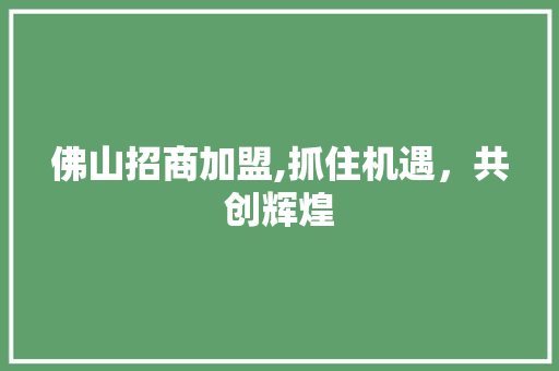 佛山招商加盟,抓住机遇，共创辉煌