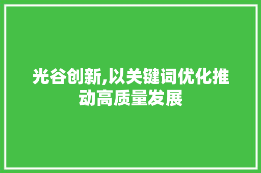 光谷创新,以关键词优化推动高质量发展
