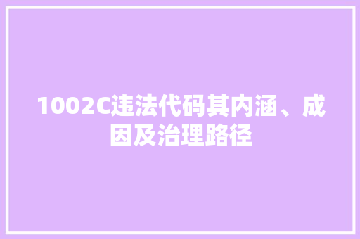 1002C违法代码其内涵、成因及治理路径 编程语言