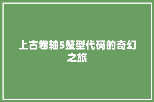 上古卷轴5整型代码的奇幻之旅 电脑配置