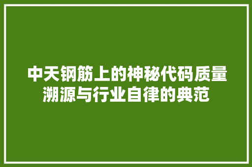 中天钢筋上的神秘代码质量溯源与行业自律的典范 电脑故障维修