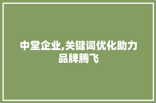 中堂企业,关键词优化助力品牌腾飞