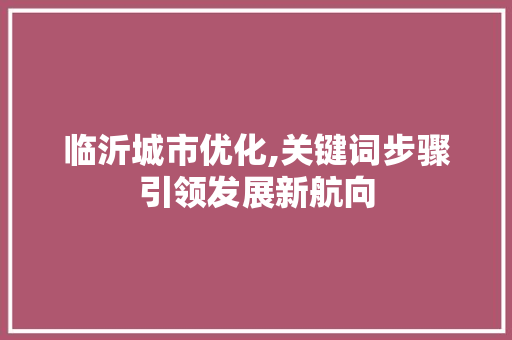 临沂城市优化,关键词步骤引领发展新航向