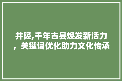 井陉,千年古县焕发新活力，关键词优化助力文化传承与发展
