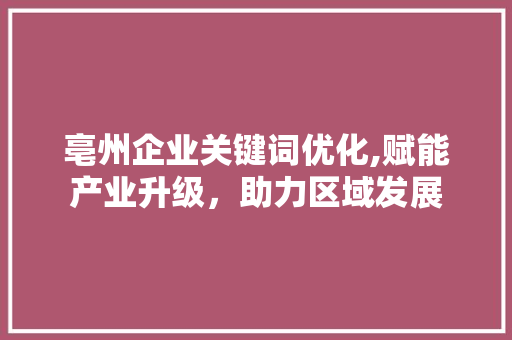 亳州企业关键词优化,赋能产业升级,助力区域发展 亳州企业关键词优化,赋能产业升级,助力区域发展
