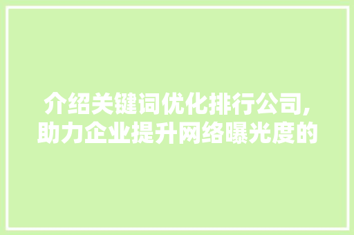 介绍关键词优化排行公司,助力企业提升网络曝光度的秘密武器