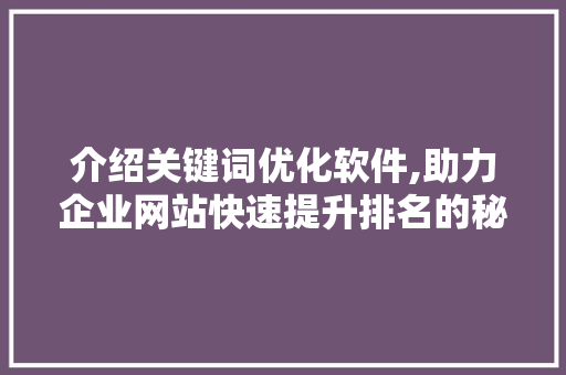 介绍关键词优化软件,助力企业网站快速提升排名的秘密武器