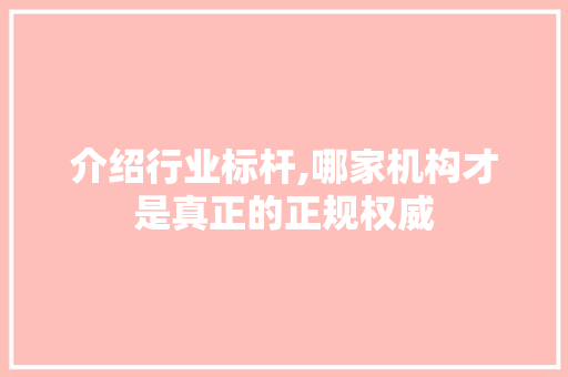 介绍行业标杆,哪家机构才是真正的正规权威