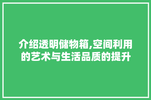 介绍透明储物箱,空间利用的艺术与生活品质的提升 电脑基础