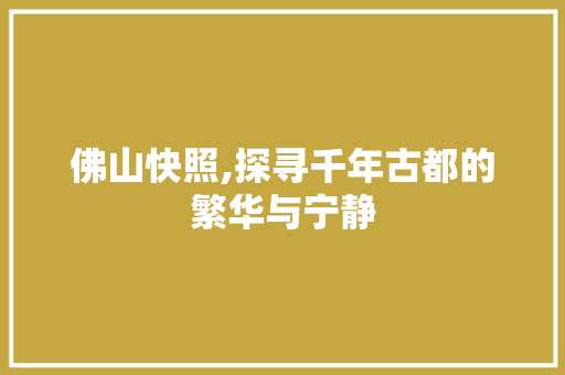 佛山快照,探寻千年古都的繁华与宁静