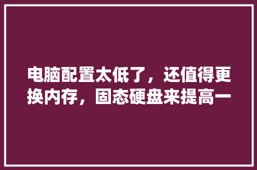 电脑配置太低了，还值得更换内存，固态硬盘来提高一下打开表格和、软件、网页的速度么_怎么看电脑固态配置参数