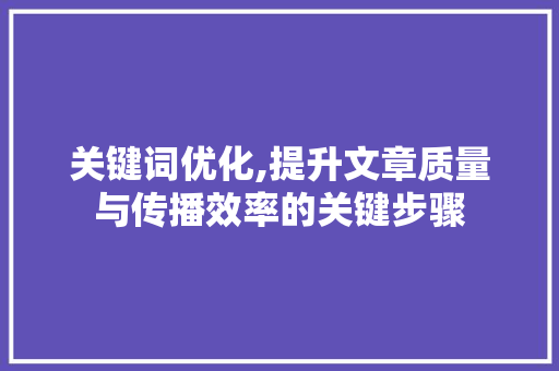 关键词优化,提升文章质量与传播效率的关键步骤