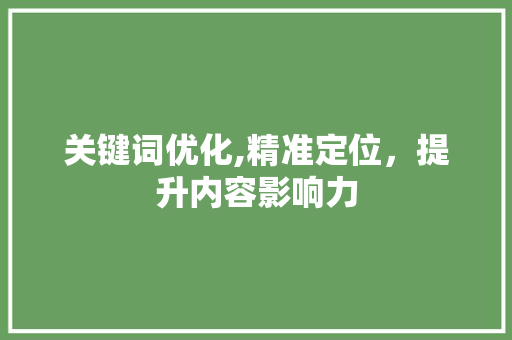 关键词优化,精准定位，提升内容影响力