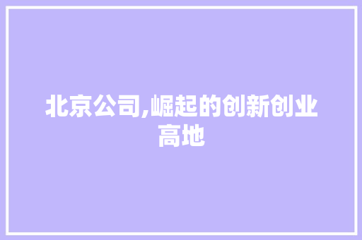 北京公司,崛起的创新创业高地