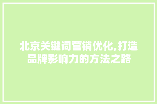 北京关键词营销优化,打造品牌影响力的方法之路