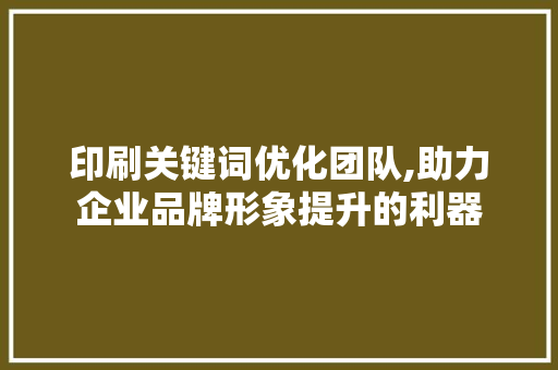 印刷关键词优化团队,助力企业品牌形象提升的利器