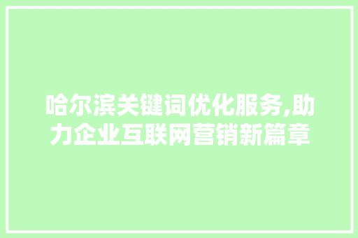哈尔滨关键词优化服务,助力企业互联网营销新篇章 编程语言