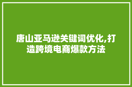 唐山亚马逊关键词优化,打造跨境电商爆款方法