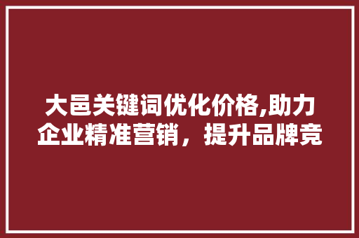 大邑关键词优化价格,助力企业精准营销,提升品牌竞争力 大邑关键词优化价格,助力企业精准营销,提升品牌竞争力