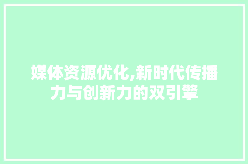 媒体资源优化,新时代传播力与创新力的双引擎 媒体资源优化,新时代传播力与创新力的双引擎