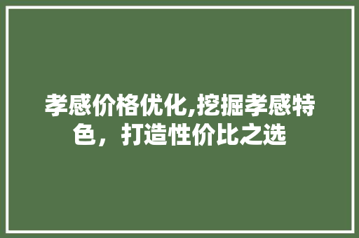 孝感价格优化,挖掘孝感特色，打造性价比之选