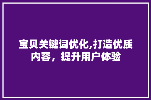 宝贝关键词优化,打造优质内容，提升用户体验