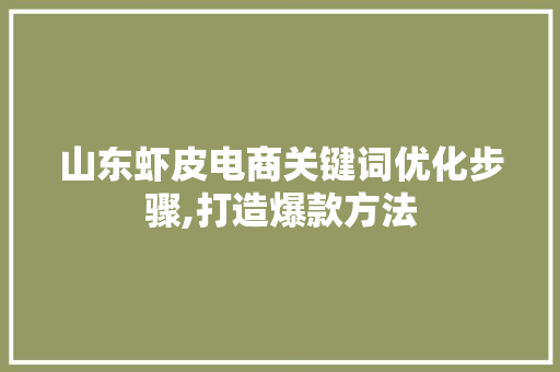 山东虾皮电商关键词优化步骤,打造爆款方法