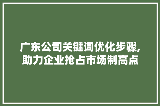 广东公司关键词优化步骤,助力企业抢占市场制高点
