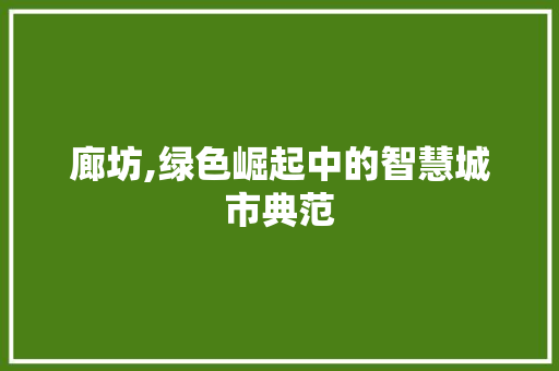 廊坊,绿色崛起中的智慧城市典范