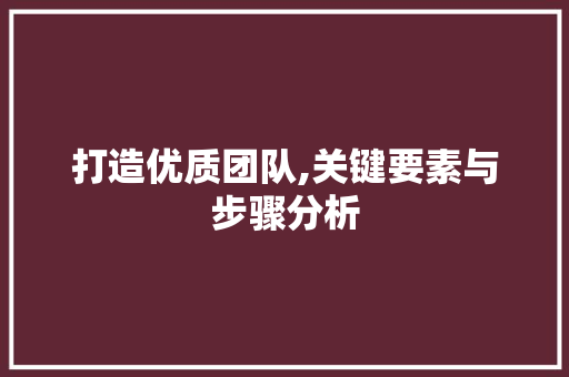 打造优质团队,关键要素与步骤分析