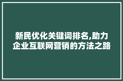 新民优化关键词排名,助力企业互联网营销的方法之路