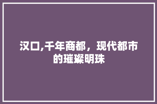 汉口,千年商都,现代都市的璀璨明珠 汉口,千年商都,现代都市的璀璨明珠