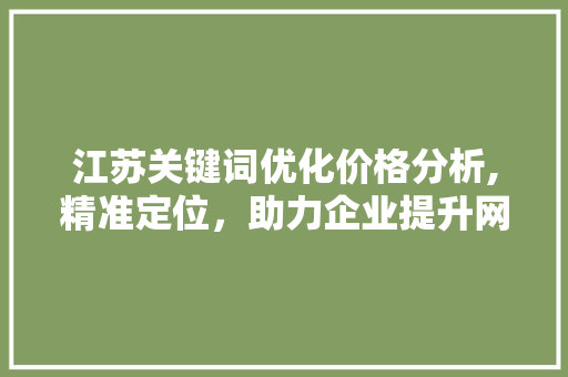 江苏关键词优化价格分析,精准定位,助力企业提升网络竞争力 江苏关键词优化价格分析,精准定位,助力企业提升网络竞争力