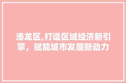 洛龙区,打造区域经济新引擎，赋能城市发展新动力