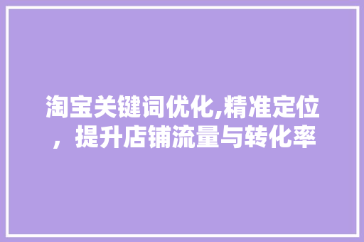 淘宝关键词优化,精准定位，提升店铺流量与转化率