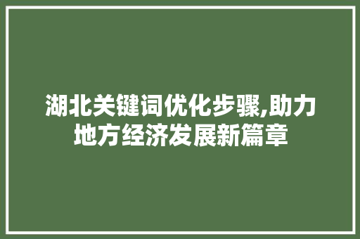湖北关键词优化步骤,助力地方经济发展新篇章
