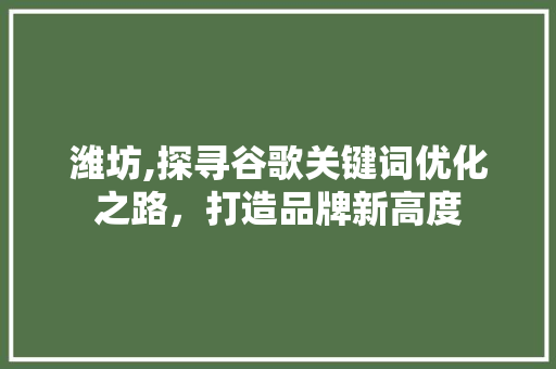 潍坊,探寻谷歌关键词优化之路,打造品牌新高度 潍坊,探寻谷歌关键词优化之路,打造品牌新高度
