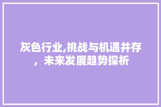 灰色行业,挑战与机遇并存，未来发展趋势探析