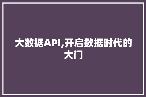 大数据API,开启数据时代的大门