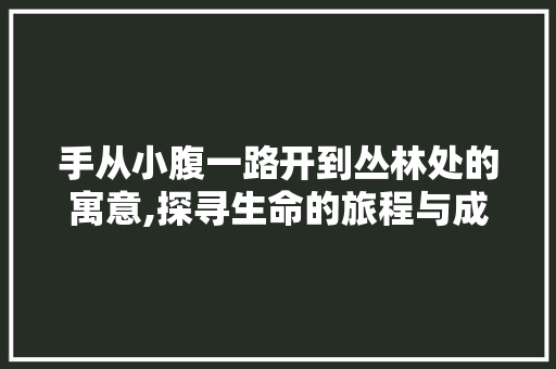 手从小腹一路开到丛林处的寓意,探寻生命的旅程与成长