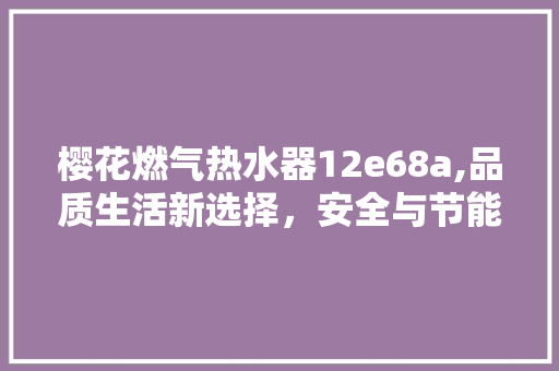 樱花燃气热水器12e68a,品质生活新选择，安全与节能的完美结合
