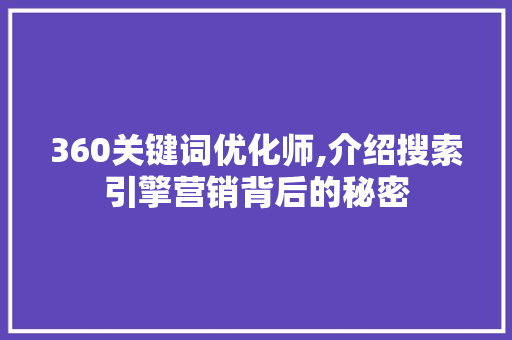 360关键词优化师,介绍搜索引擎营销背后的秘密 360关键词优化师,介绍搜索引擎营销背后的秘密