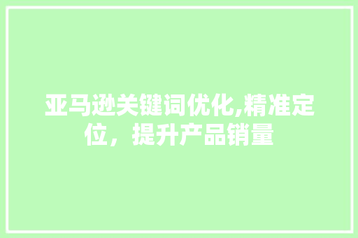 亚马逊关键词优化,精准定位，提升产品销量